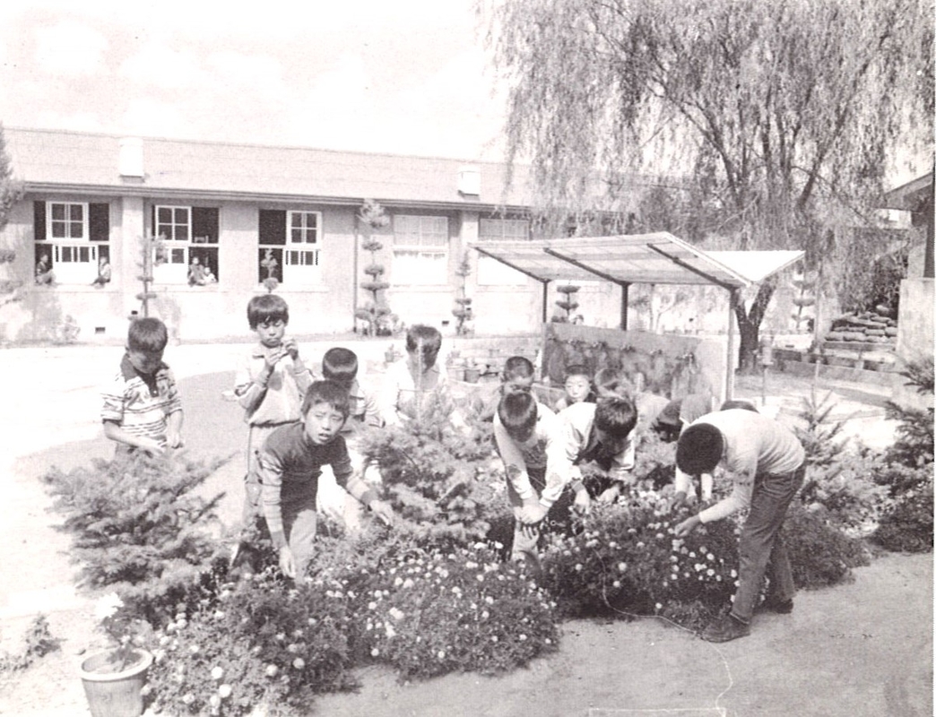 1981년 재배반.jpg