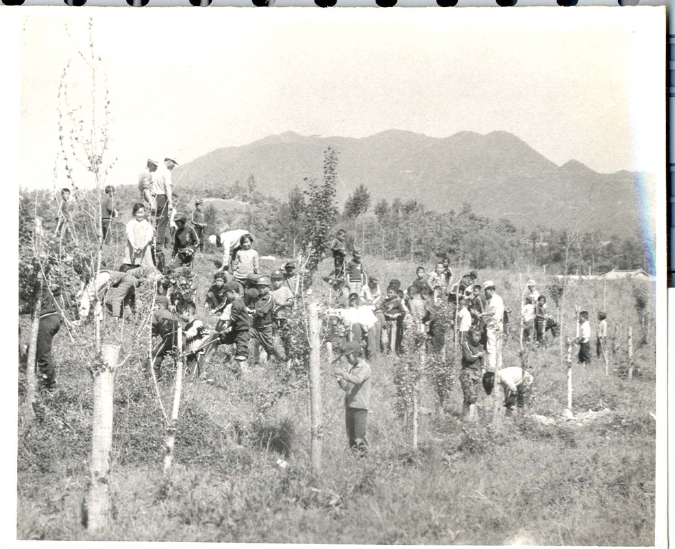 식목행사에 참여하여 나무를 심는 학생들.jpg