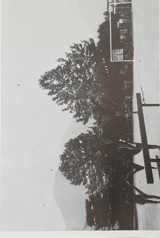 06양평분교 31회 앨범-6(1983) 평균대위의 조화.jpg