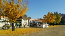 강천초등학교 2018년 모습