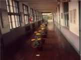 동량초등학교 지동분교장 1인 1화분 재배(1981)