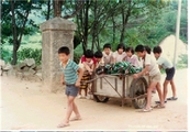 수안보초등학교 미륵분교 빈병수집(1983)