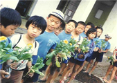 야동초등학교 하남분교장 예쁘게 키우세요! 꽃 묘분양(1981)