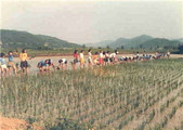 강천초등학교 단암분교장 농촌 봉사 활동