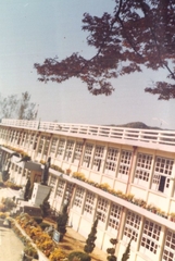 학교전경