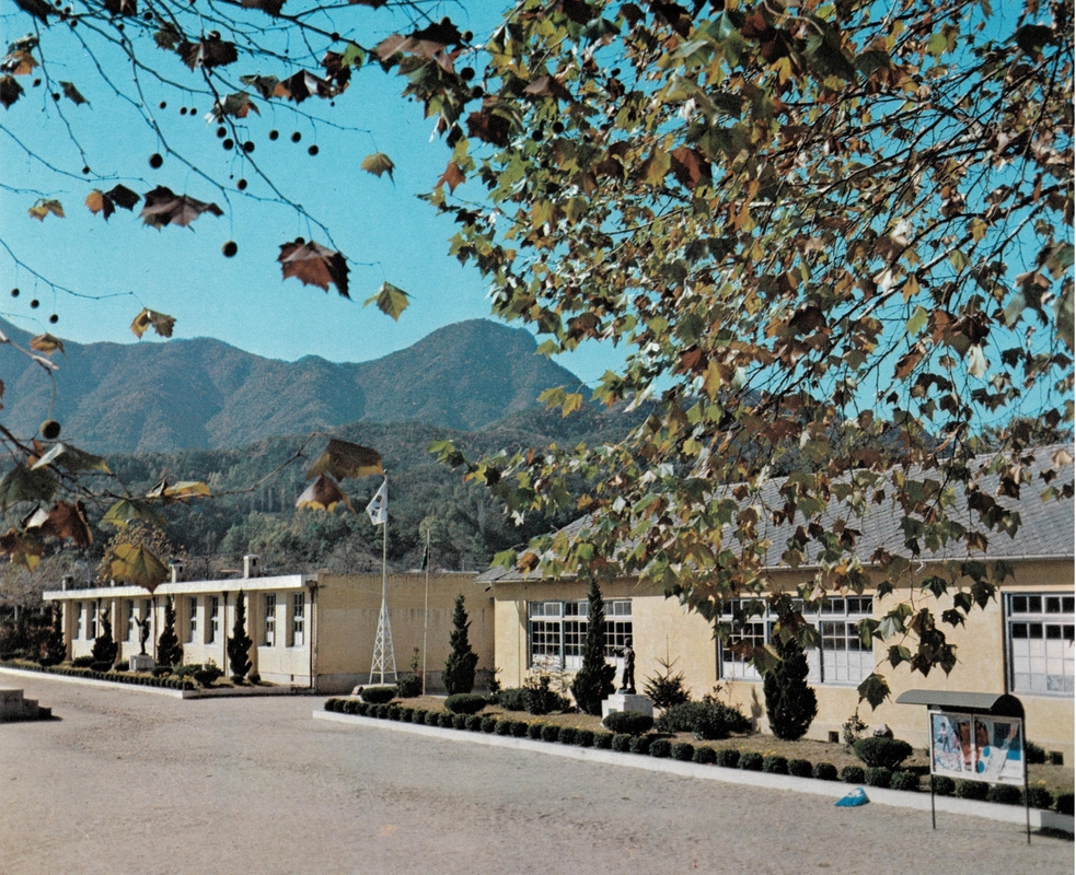 1980년 학교 전경.jpg