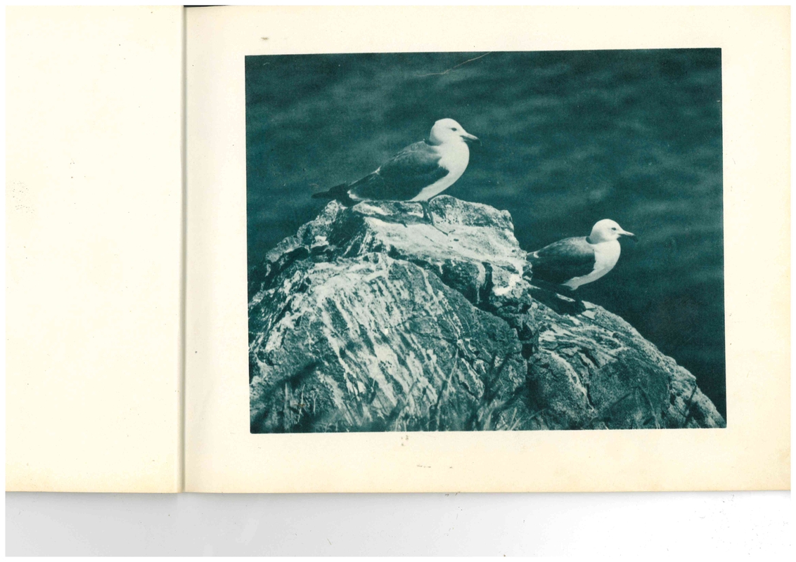 황석분교 제21회 졸업앨범(1972)06.jpg