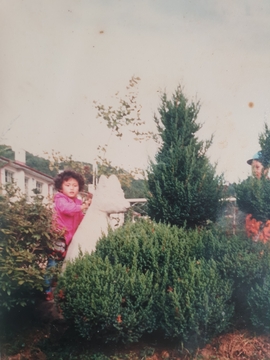 남당초 삼선분교