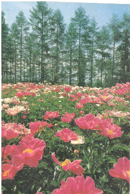 청풍고22회 졸업앨범02.jpg