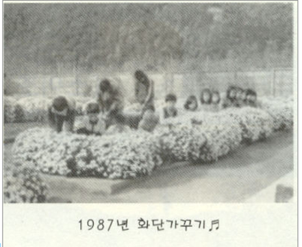 무극초등학교 사정분교장-1987년 화단가꾸기