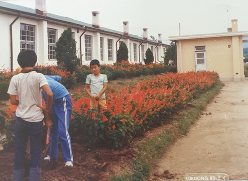 탄부초등학교 사직분교장 화단2(1985)